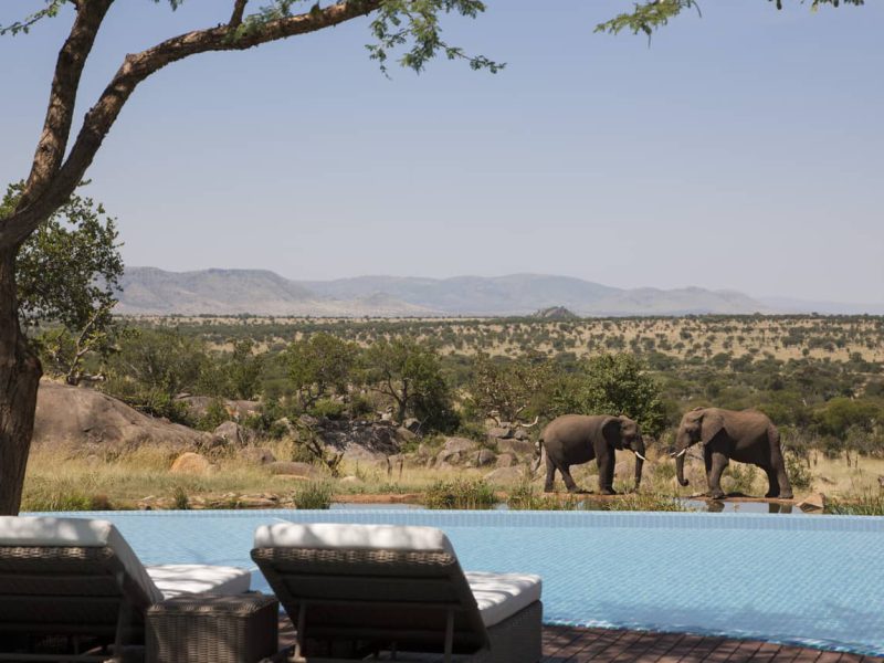 Four Seasons Serengeti
