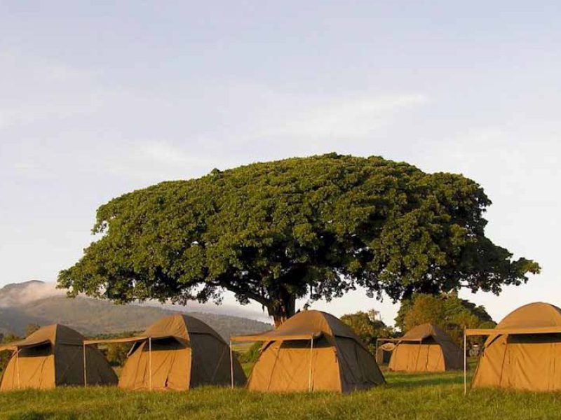 Seronera Public Campsite