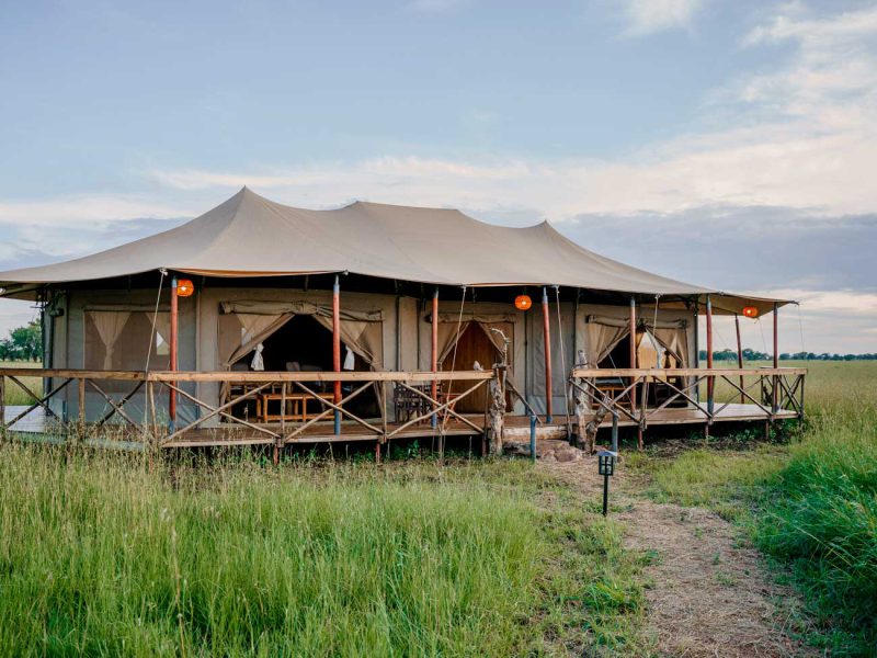 Zawadi Camp Serengeti