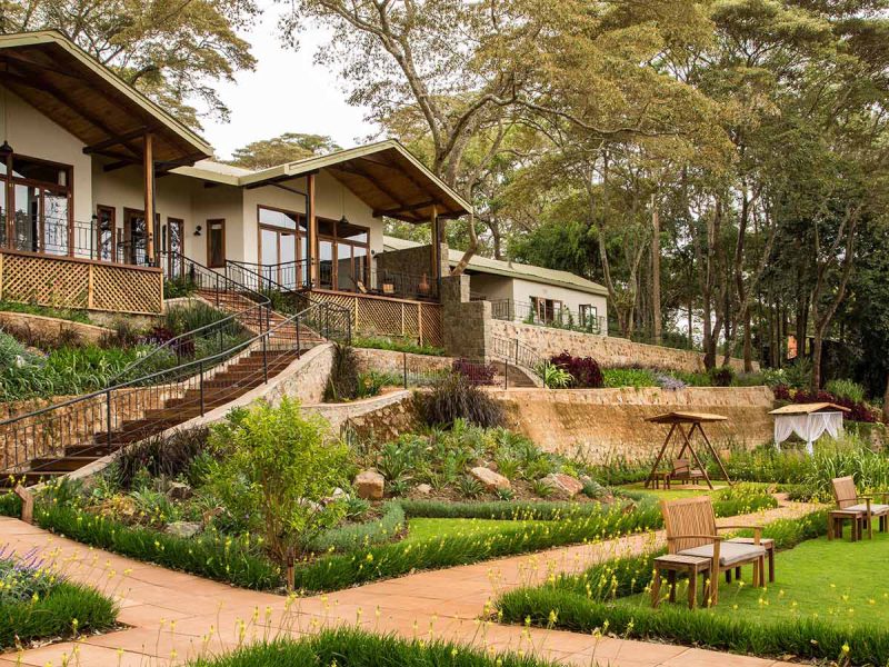 Gibb's Farm